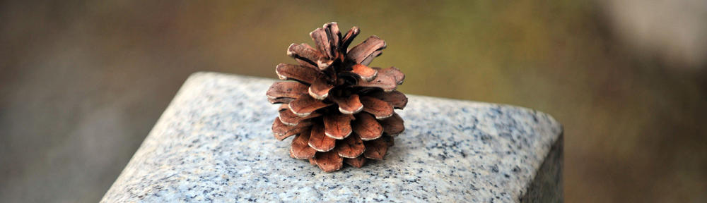 Local Rooing-